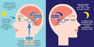 Empilement minimal de pierres, vert et sable.